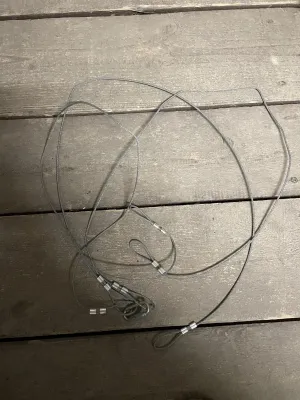 590005