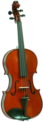 456038