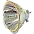 503409