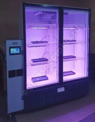 656168