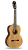 256564