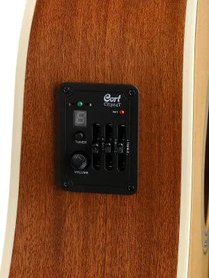 481029
