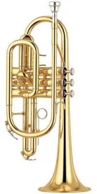 470519