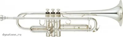 285404