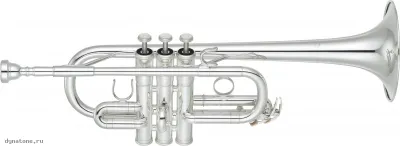 285407