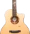 529318 529318