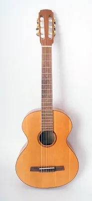 76604