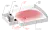 172932