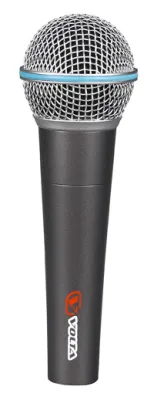 118923