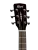 445027