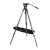 523420