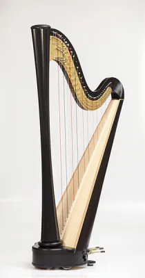79907