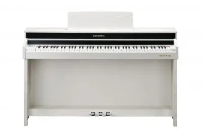 255029