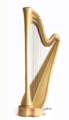 79900