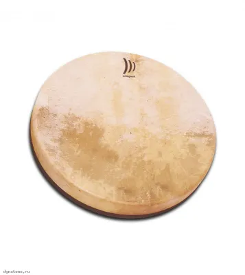 281355
