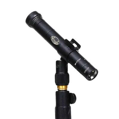 320335