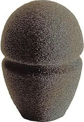 49536