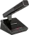 590036