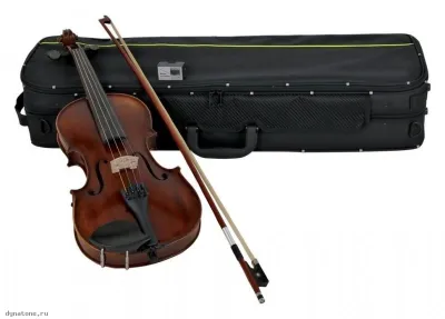 286061