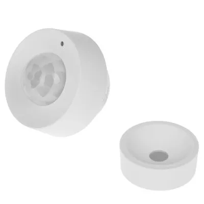 218343