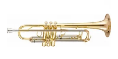 51250