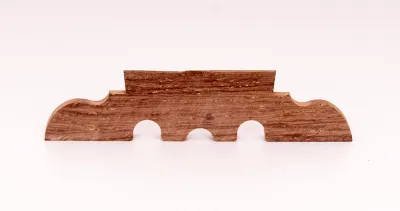 393408