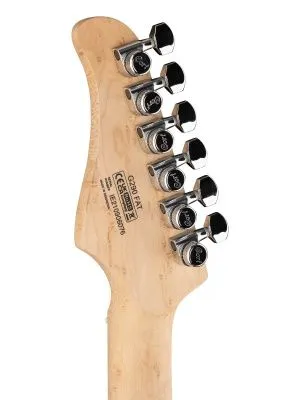 355667
