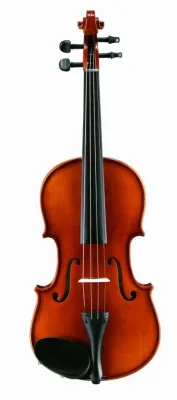 323606