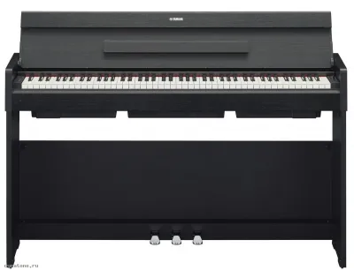 278160