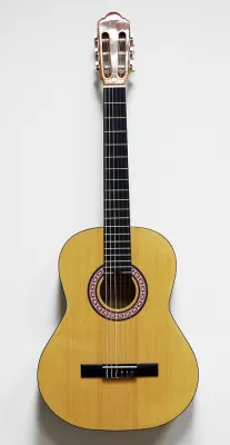 41271