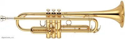 285405