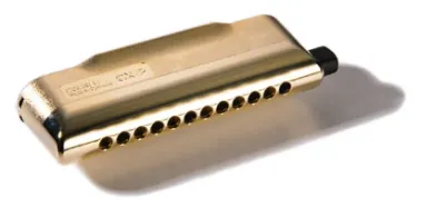68836