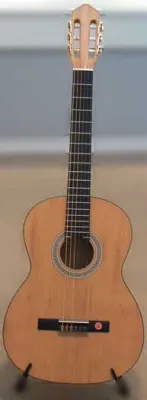 45732
