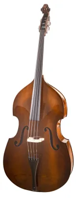 46631