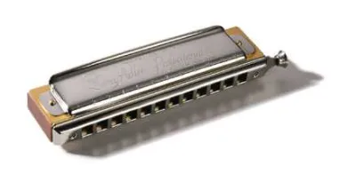 68828