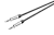 123632