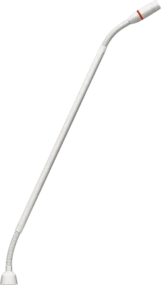 207494