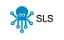 SLS / Россия