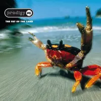 РАСПРОДАЖА Виниловая пластинка The Prodigy - The Fat Of The Land (арт. 352965)