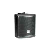 Studiomaster CTR-106- Пассивная двухполосная акустическая система 6,5", 50 Вт