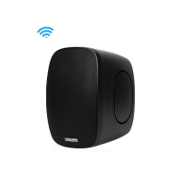 DSPPA DW-6050 (Образец) Активный всепогодный корпусной 2-х полосный громкоговоритель с потоковым плеером Мощность 2х30 Вт