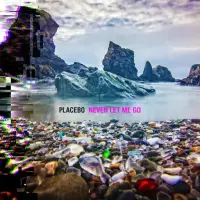 Виниловая пластинка Placebo - Never Let Me Go (Black Vinyl 2LP)