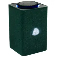 Умная колонка Яндекс Станция Макс с Zigbee (YNDX-00053Z) green