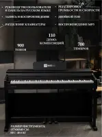Цифровое пианино в корпусе MusicHall Virtuoso, Black