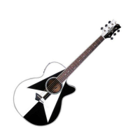 MSE/Michael Schenker Exotica - Ак. гитара/DEAN