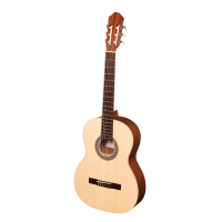 SM300 Классическая гитара 4/4, Hora