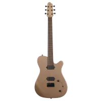Covenant CUSTOM MODEL AE MGD электрогитара в чехле с аксессуарами