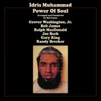 Виниловая пластинка Idris Muhammad - Power Of Soul (Black Vinyl LP)