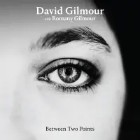 Виниловая пластинка David Gilmour - Between Two Points (V12) (Clear Vinyl LP)