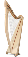 Арфа со звукоснимателем Salvi Egan Elettroacustica